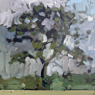 Tree - 20x20cm, Oil on Board, 2015, Martin Hill