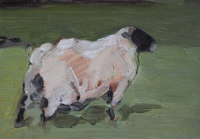 Sheep Study - 14.8x21cm, Oil on Card, 2014, Martin Hill