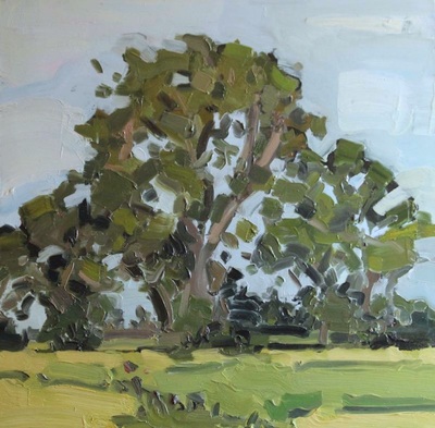 Group of Trees - 45x45cm, Oil on Board, 2015, Martin Hill