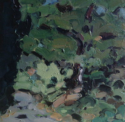 Woodland Scene II, 20x20cm, Oil on Board, Martin Hill
