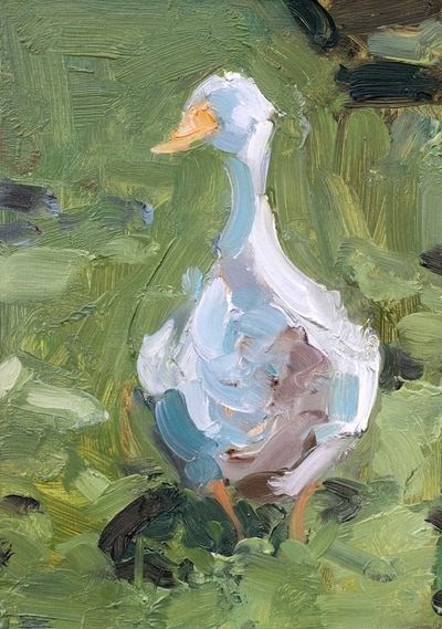 Duck Study - 14.8x21cm, Oil on Card, 2016, Martin Hill