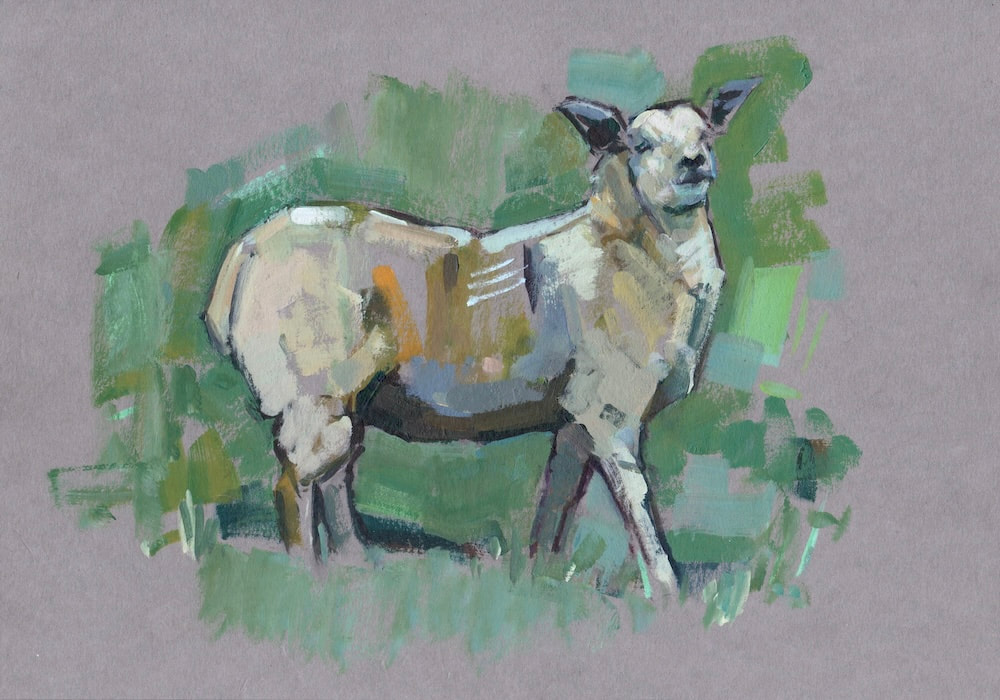 Highland Sheep I, Painting, Martin Hill, Acrylic on Paper