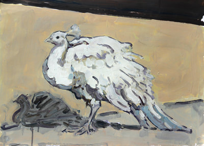 Peacock - 50.2x69.5cm, Oil on Paper, 2014, Martin Hill