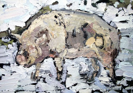 Pig I, 30x40cm, Oil on Board, Martin Hill