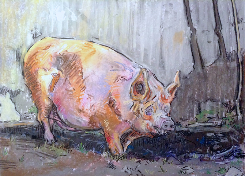 Pig II, Pastel on Paper, Martin Hill