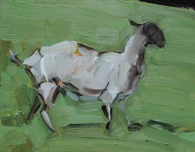 Sheep - 17x21.5cm, Oil on Board, 2016, Martin Hill